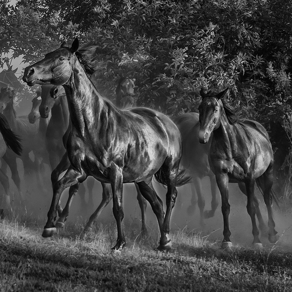 Photograph by Валентин Александров