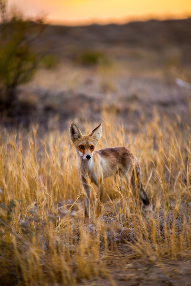 Photograph by Айзек Каниязов