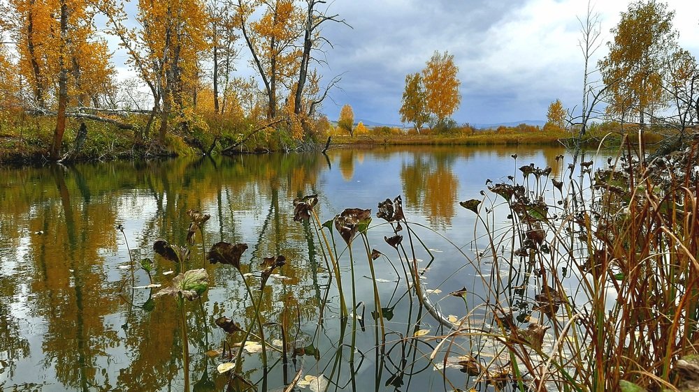 Photograph by Сергей Герасимов