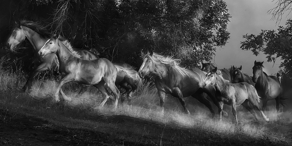 Photograph by Валентин Александров