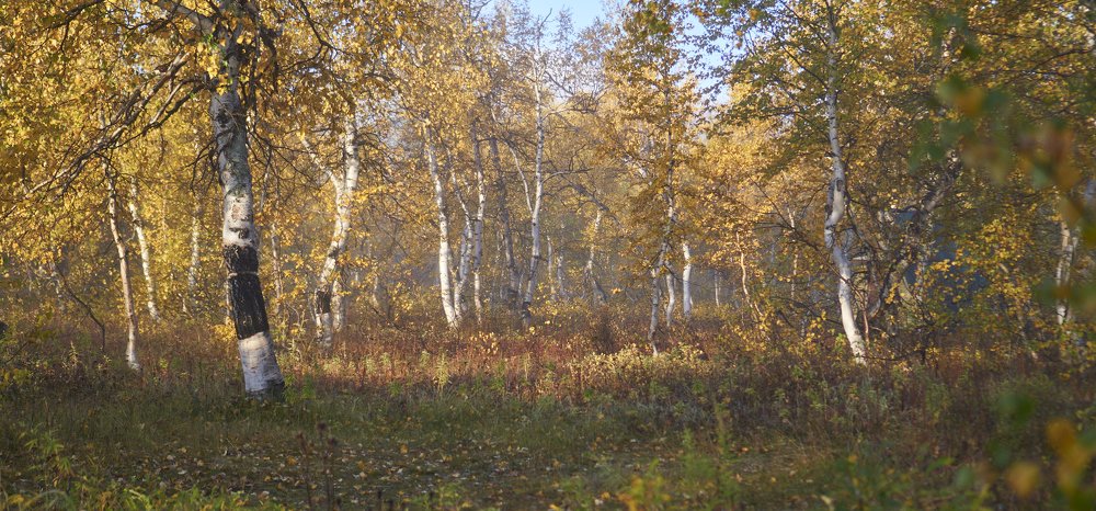 Фотография автора Никита Батищев