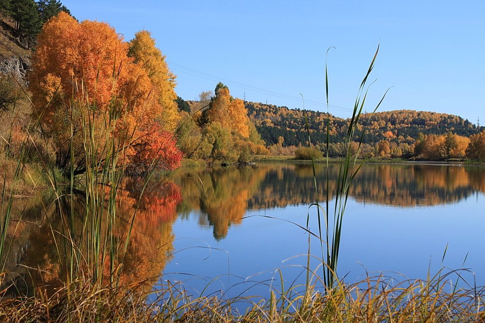 Photograph by Кузнечевская 