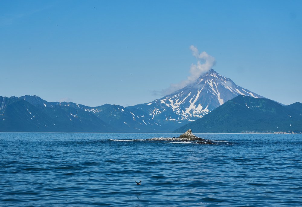 Фотография автора Никита Батищев