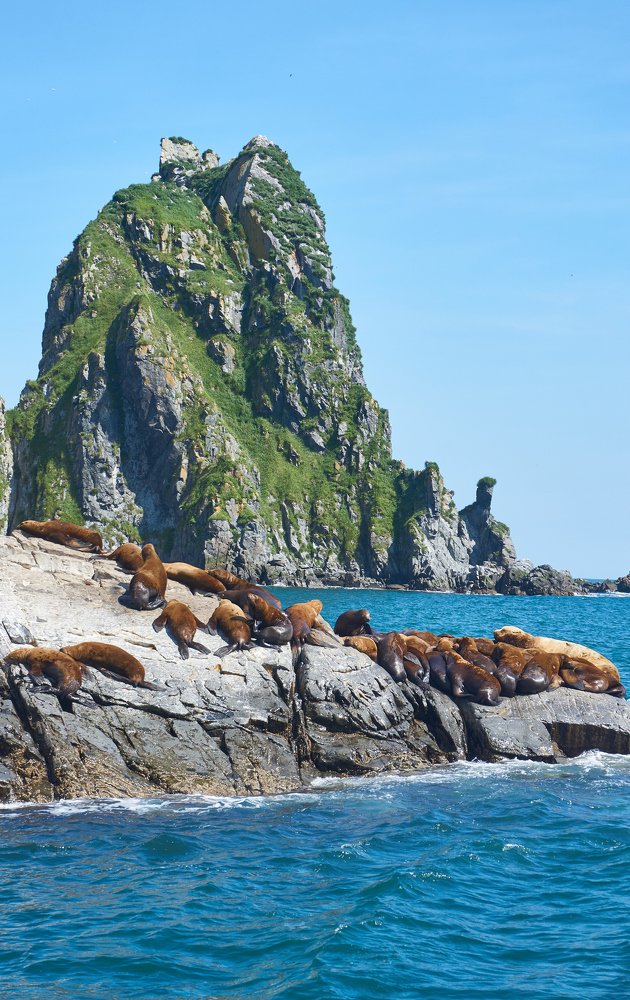 Фотография автора Никита Батищев