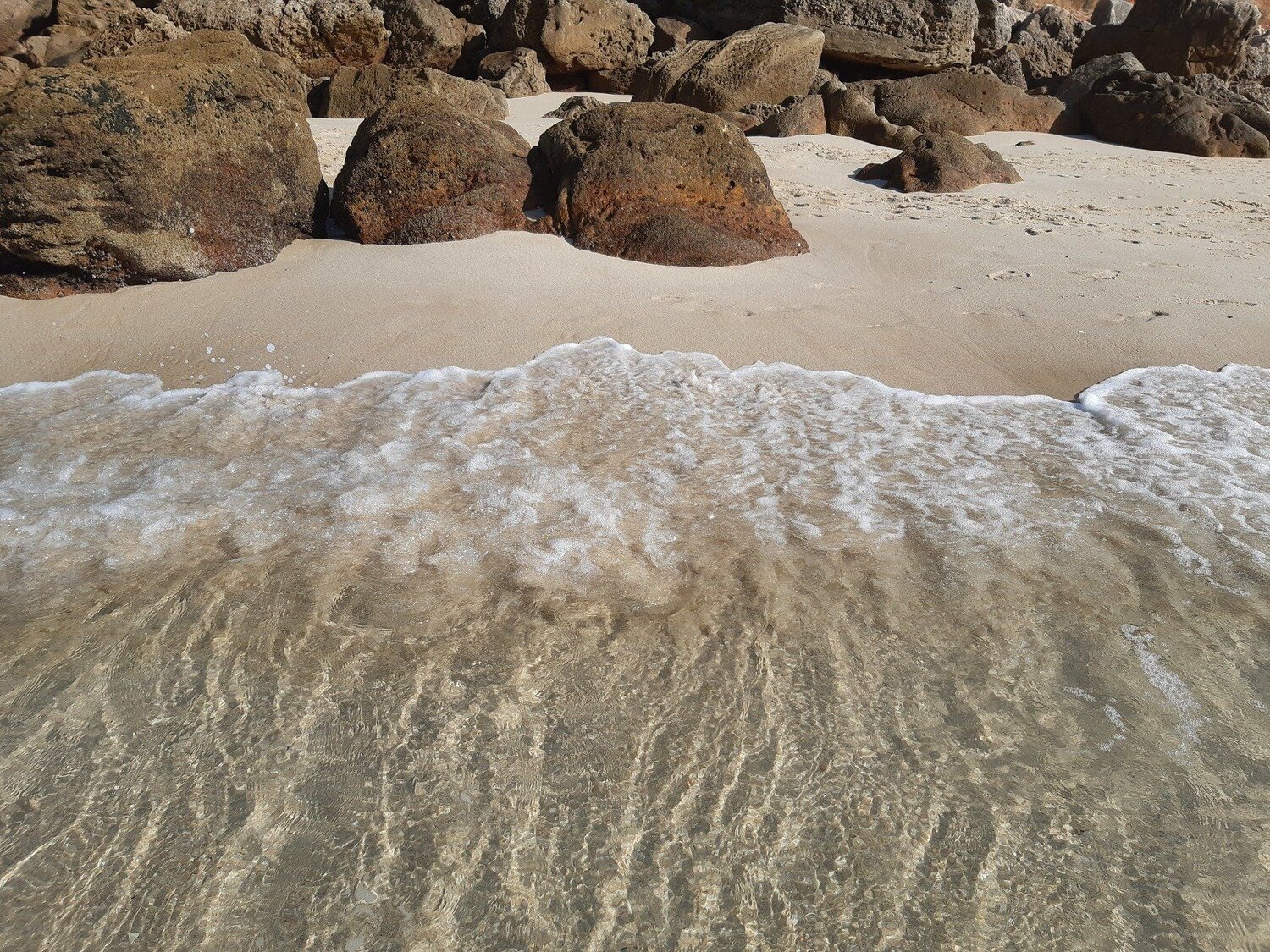 Photo #5046067