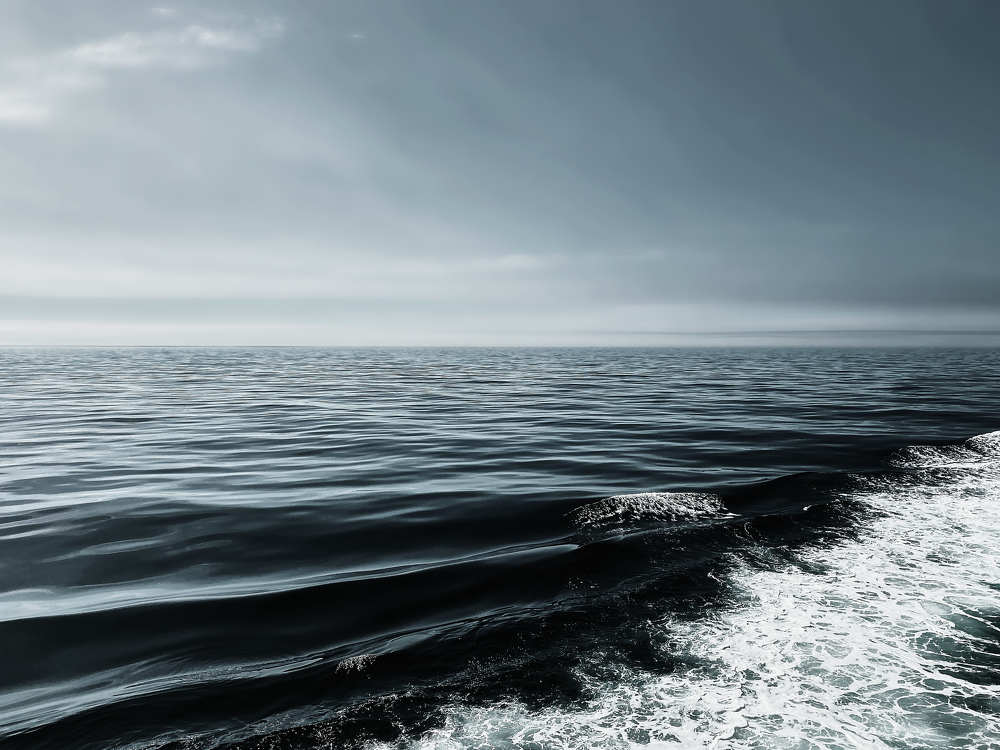 Photograph by Матвей Павлюкевичус