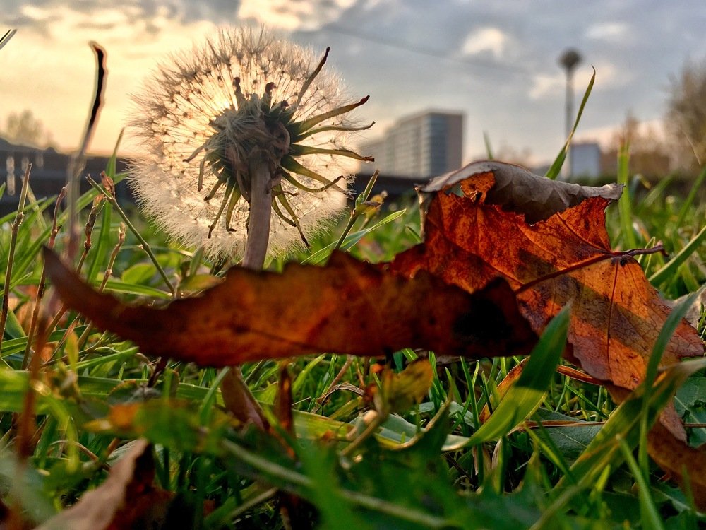 Фотография автора Ирина Романцова