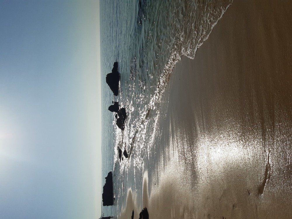Photo #5046077