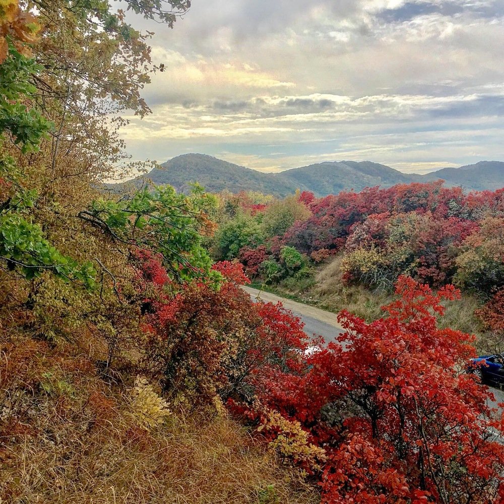 Фотография автора Ирина Романцова