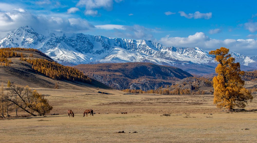 Photograph by Владимир Русских