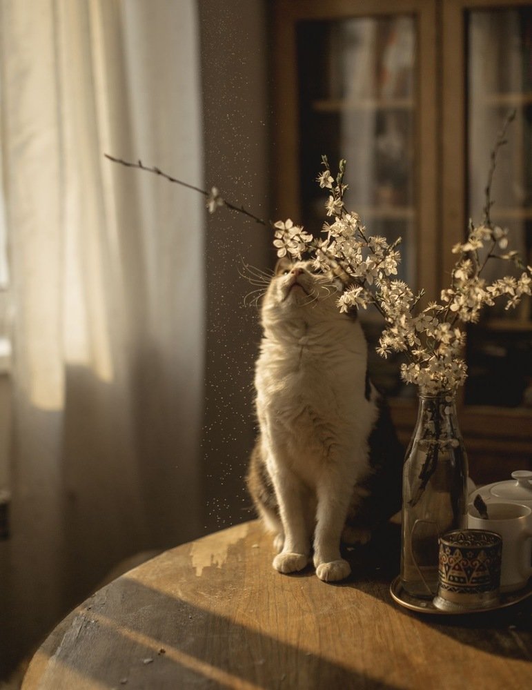 Photograph by Iryna Matvieienko