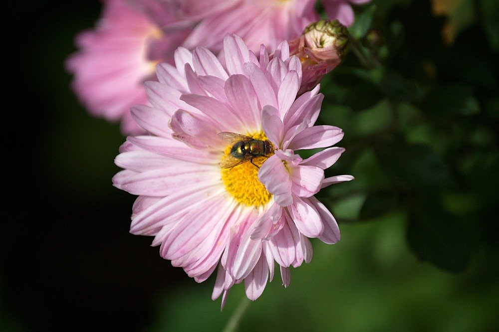 Photograph by Yroslava Veretina