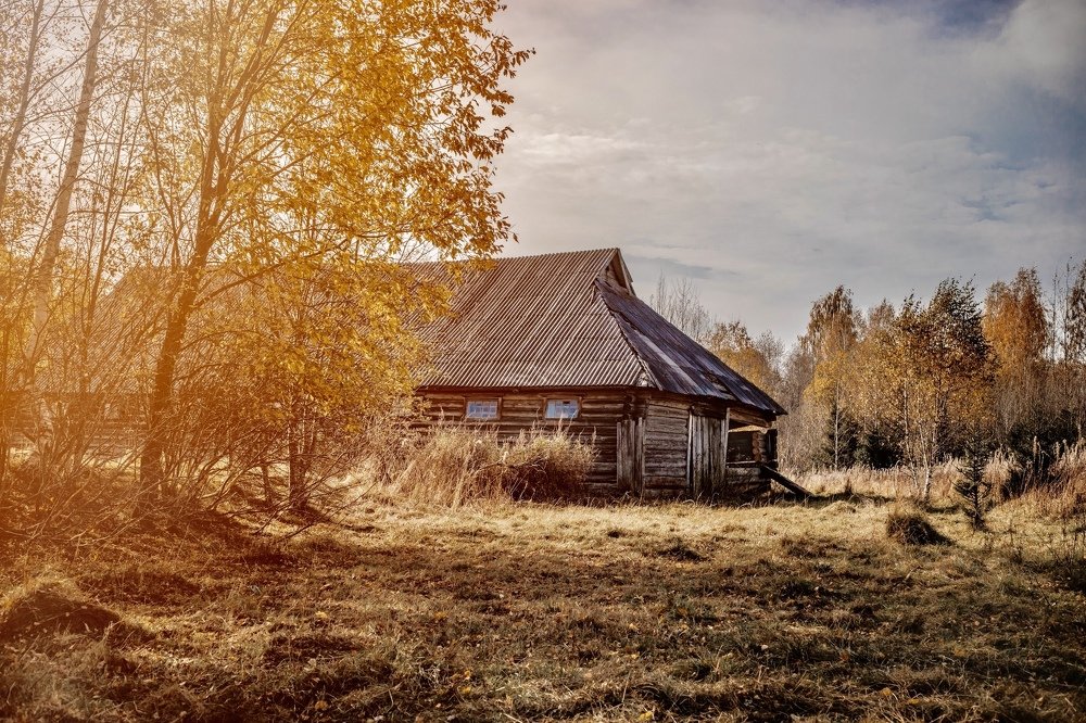 Фотография автора Мария Сурмачева