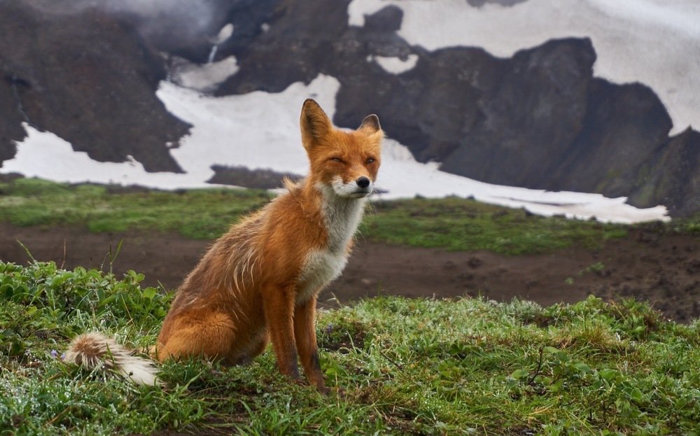 Фотография автора Никита Батищев
