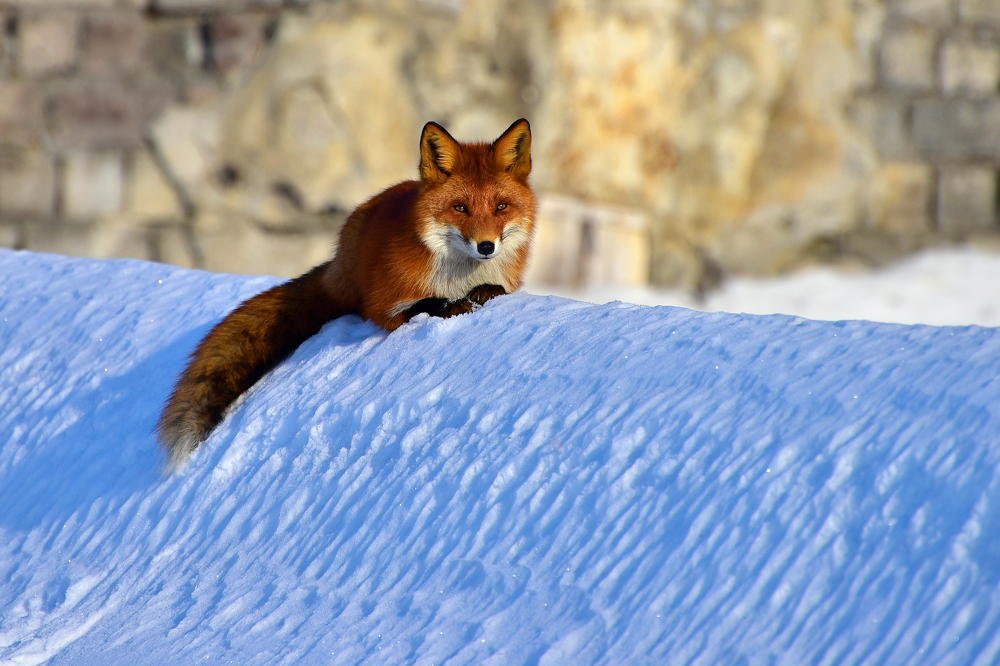 Photograph by Никита