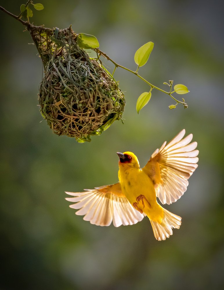 Photograph by Sooraj Jayaraj