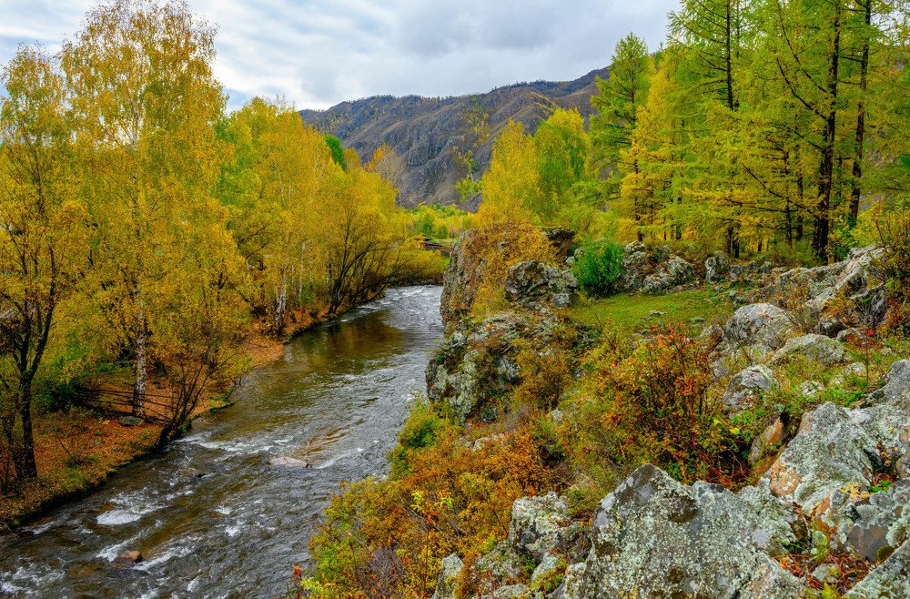 Фотография автора Сим Алексей