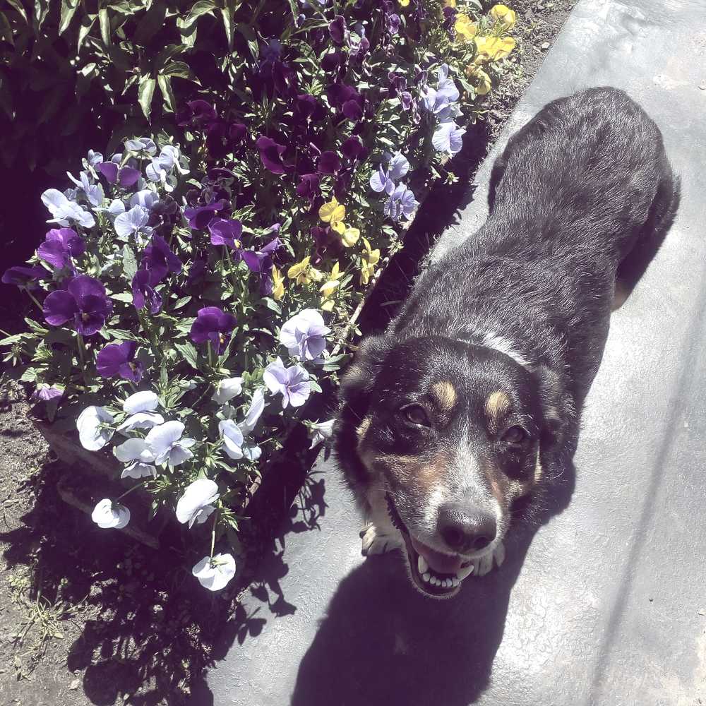 Photograph by Еле Ско