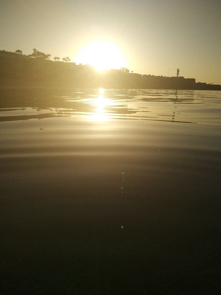 Photo #5046220