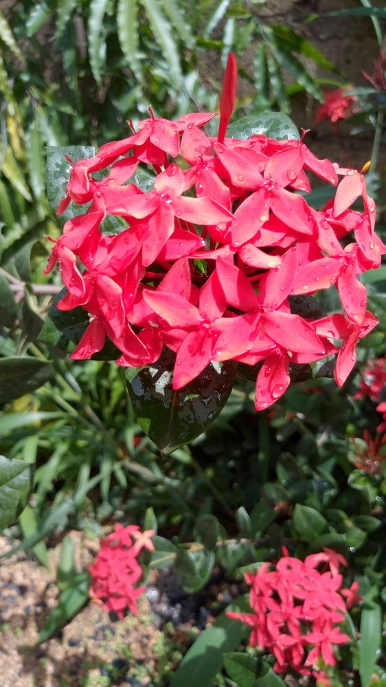 Photograph by mas’ud yahaya