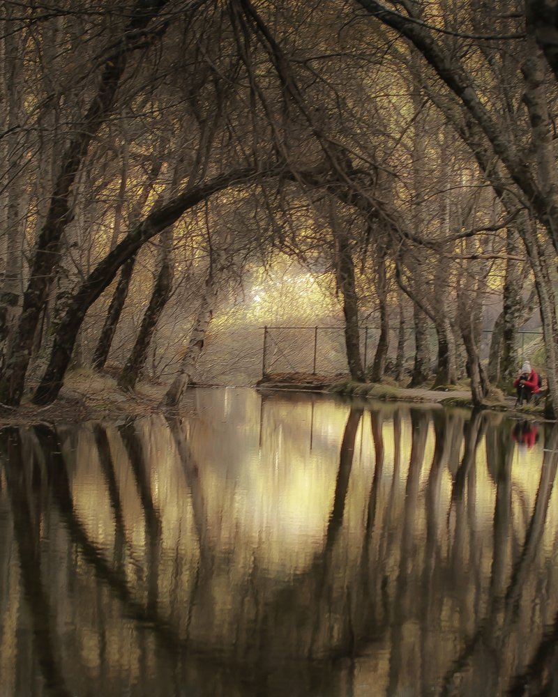 Photograph by Horácio Graça