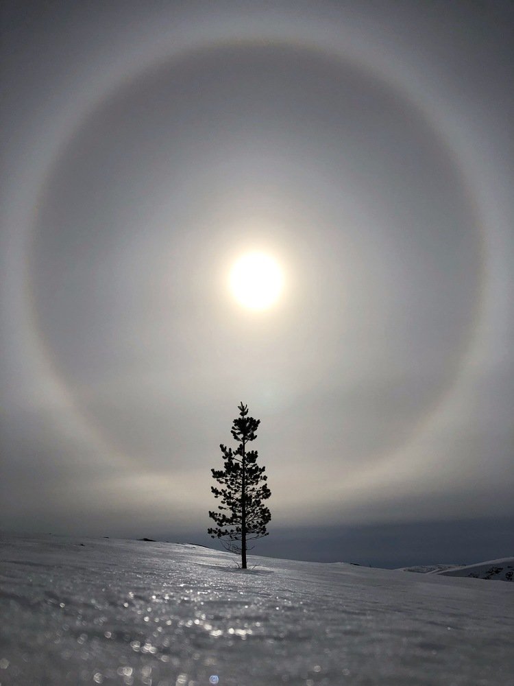 Умиротворение