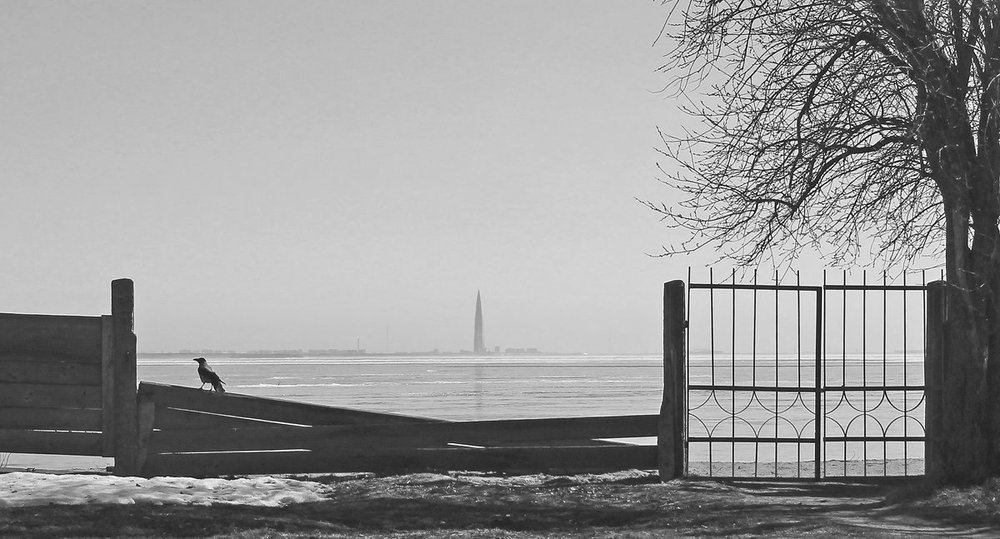 Photograph by Сергей Григорьев
