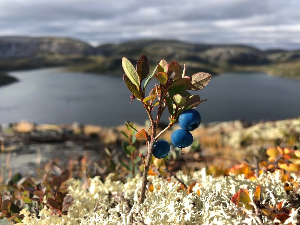 Photograph by Оксана Шеховцова