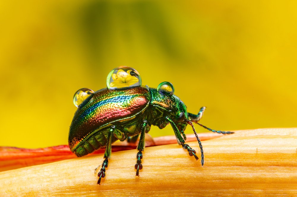 Photograph by Иван Радьков