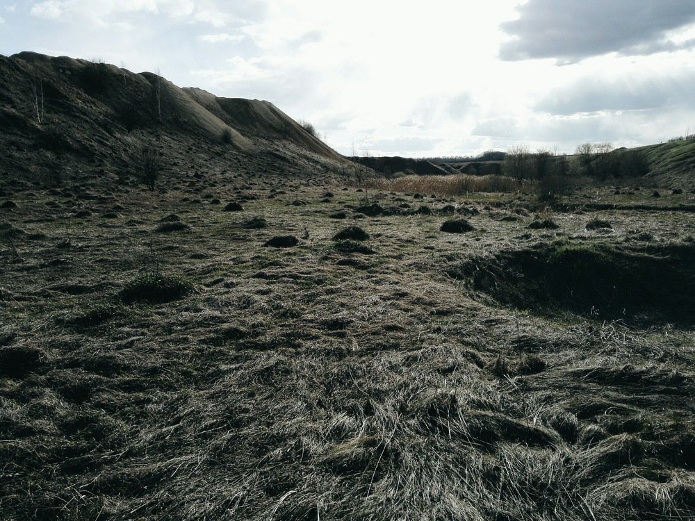 Photograph by Путилина Маргарита