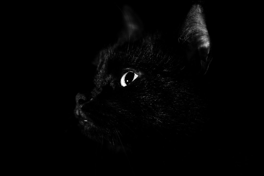 Photograph by Georgi Nanchev