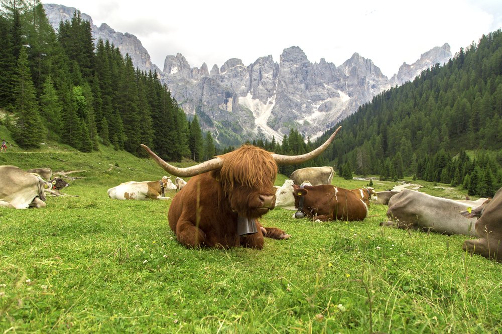 Photograph by Igor Serdyukov