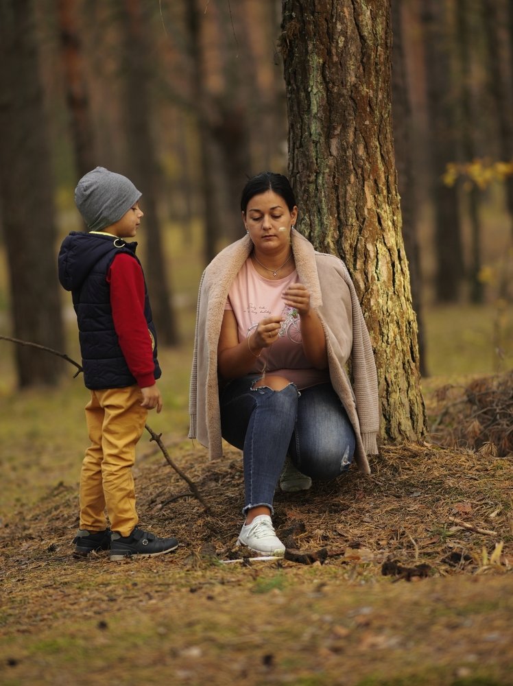 Изучаем лес