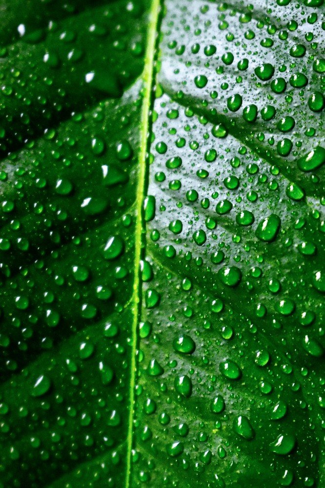 Photograph by Михаил Бородкин