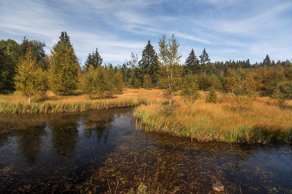 Photograph by Ирина Шумахер