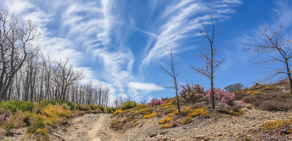 Photograph by Яна Каратаева