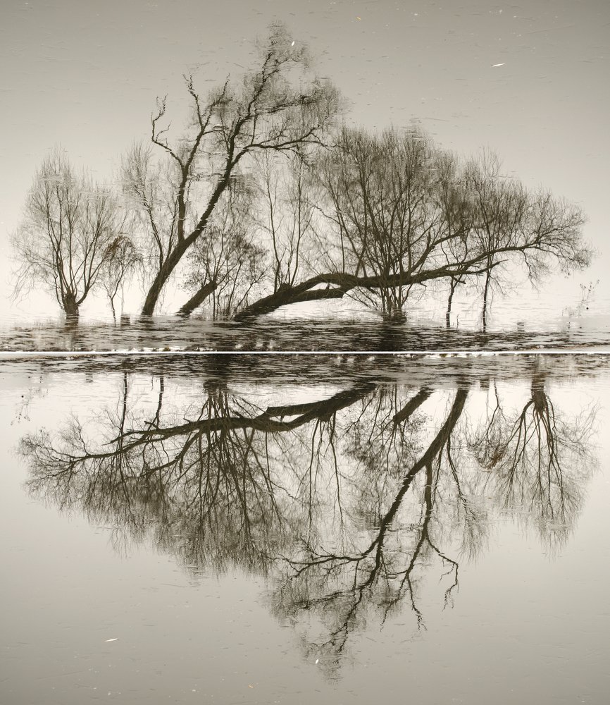 Photograph by Евгений Каримов