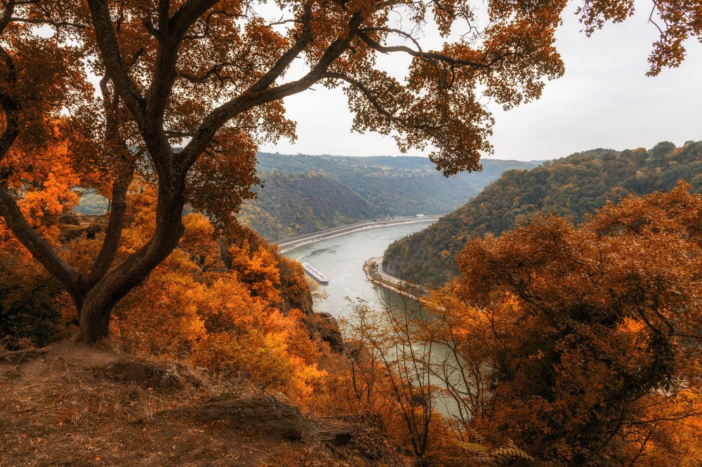 Photograph by Ирина Шумахер