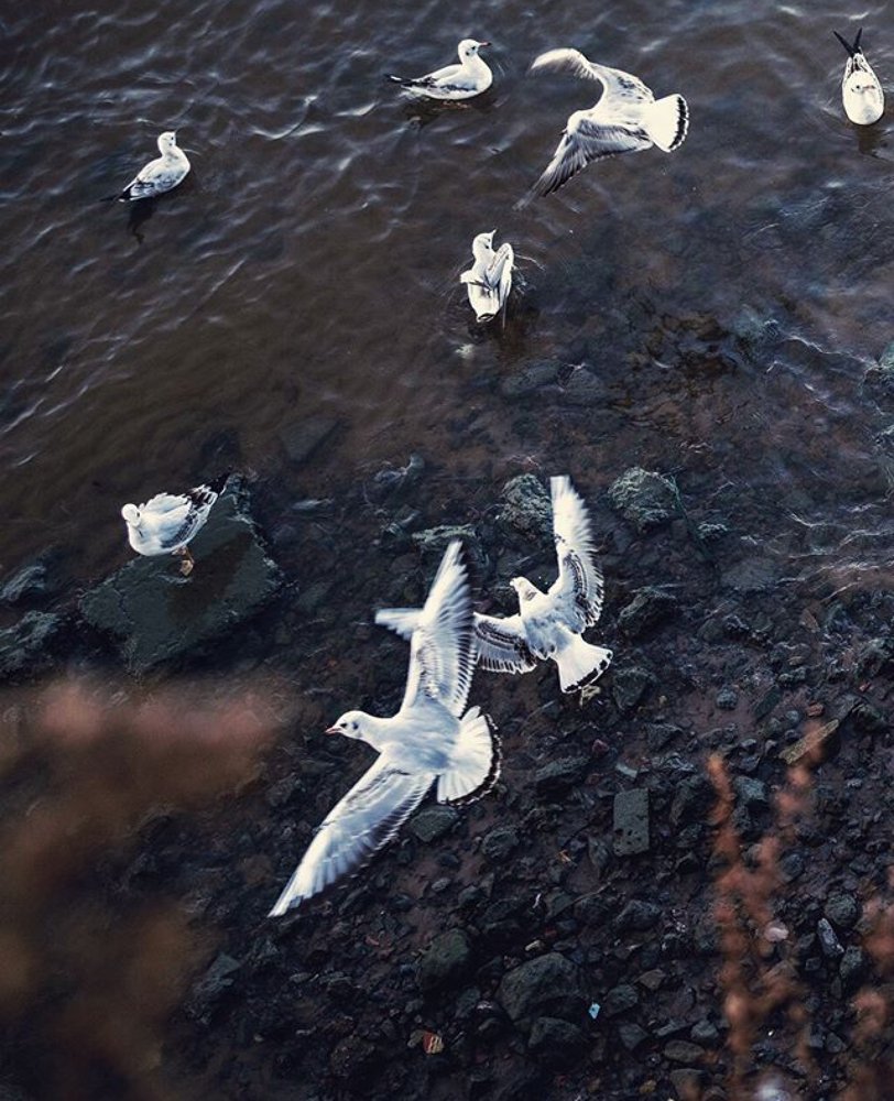 Photograph by Валяева Анастасия