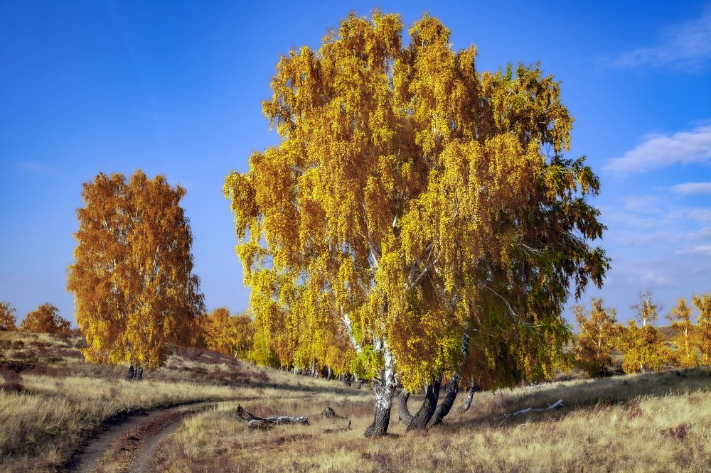 Photograph by петр чиков