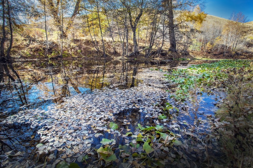 Photograph by петр чиков