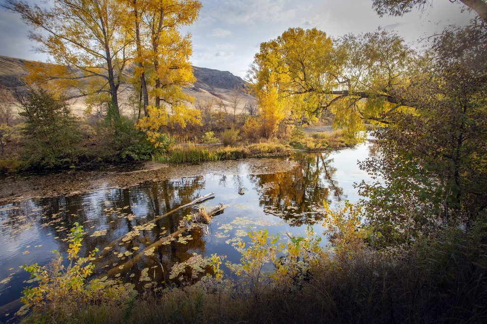 Photograph by петр чиков