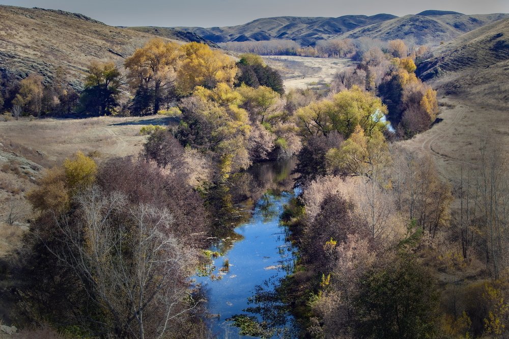 Photograph by петр чиков