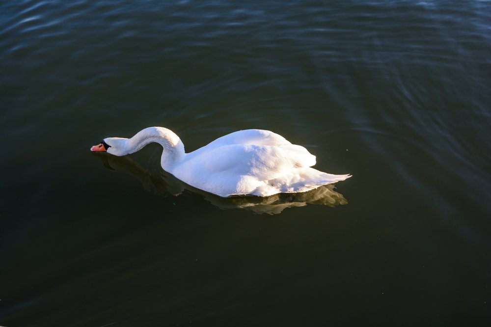 Photograph by Константин