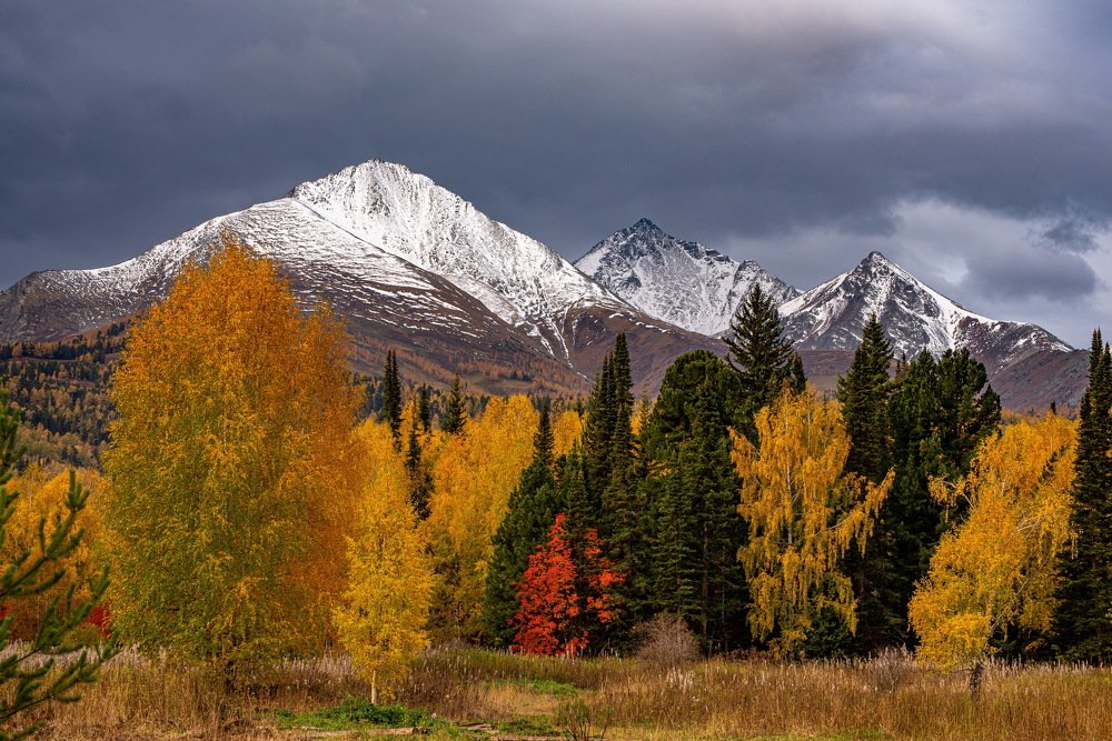 Photograph by Евгений Дроботенко