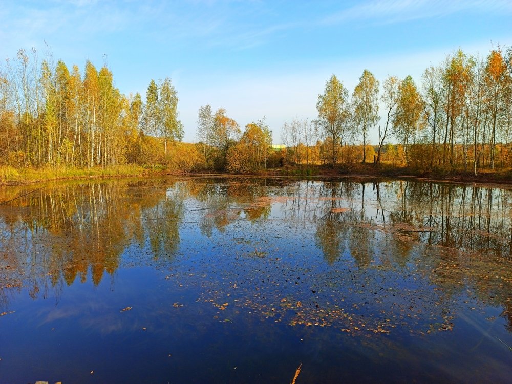 Photograph by Борис Каширин