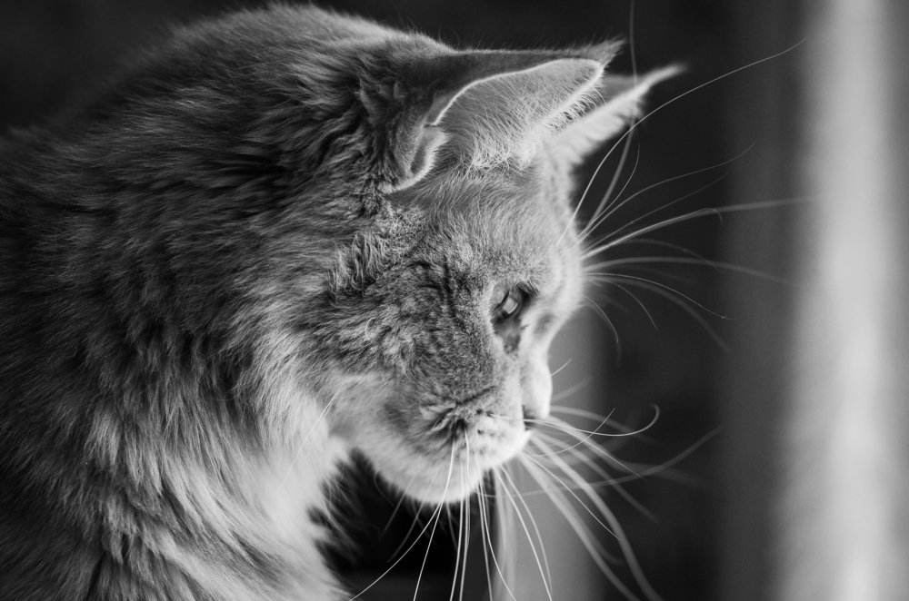 Фотография автора Владимир Брызгунов