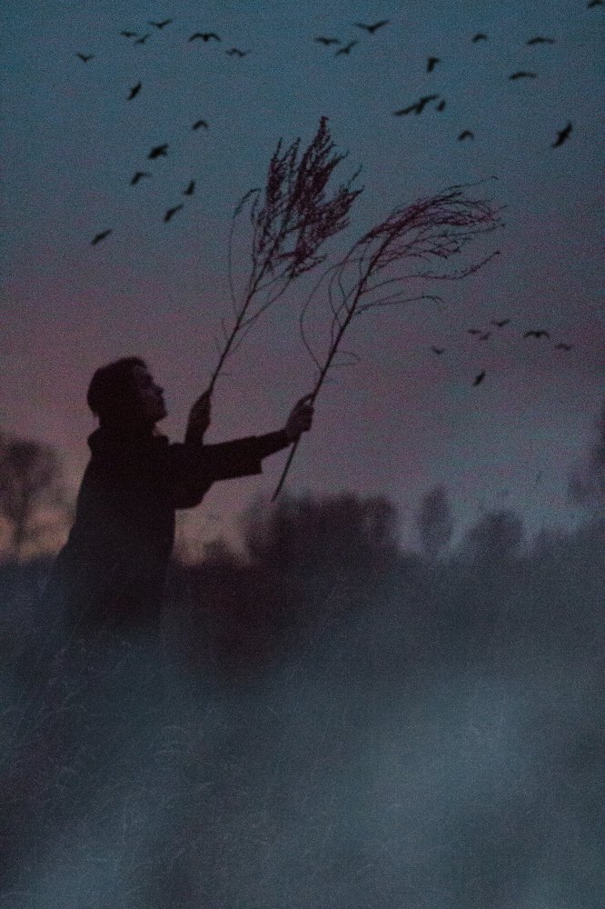 Photograph by Мария Петрова