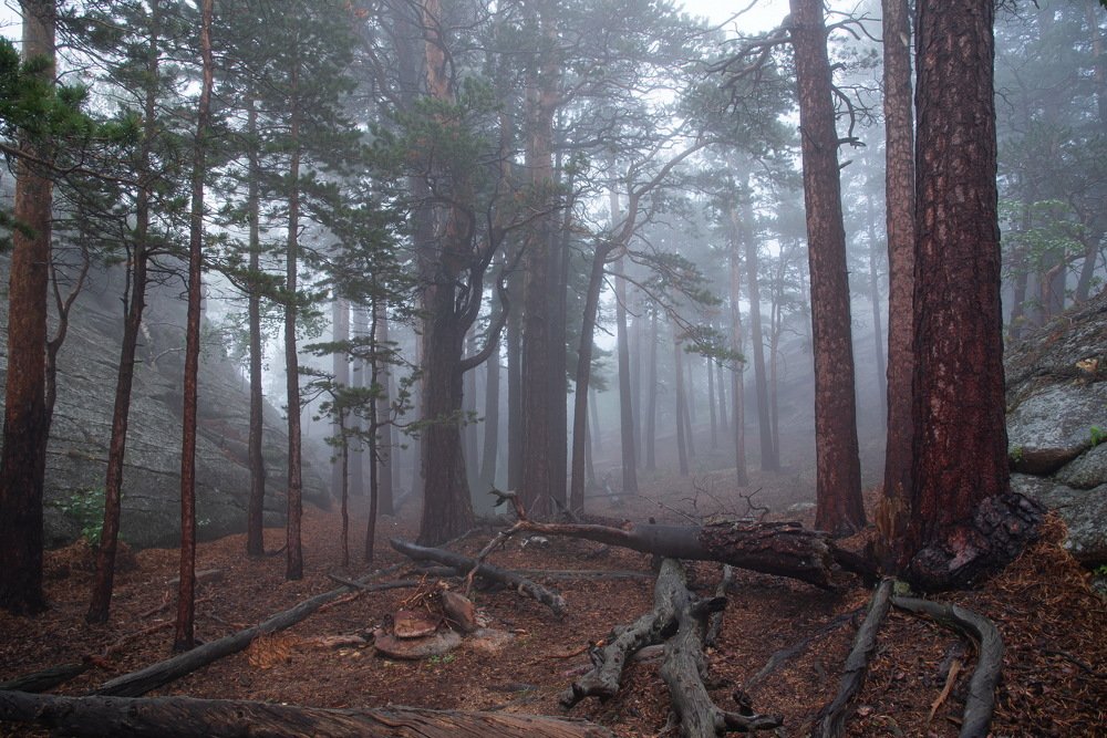 Photograph by Евгений Дроботенко