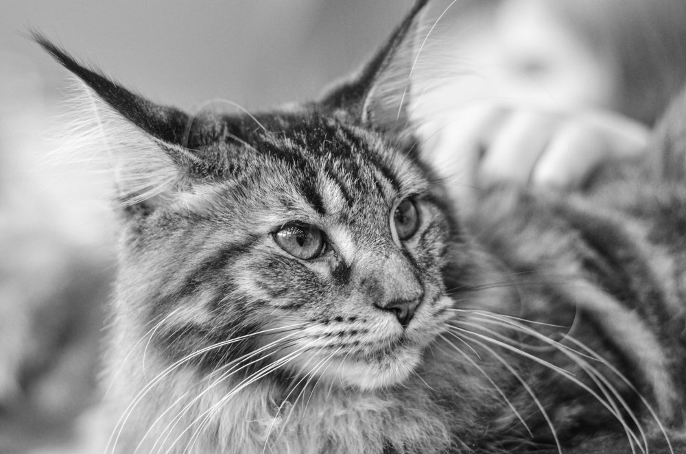 Фотография автора Владимир Брызгунов